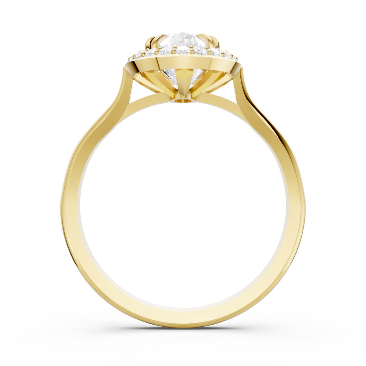 Regal Aurora Halo