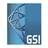 GSI Certification